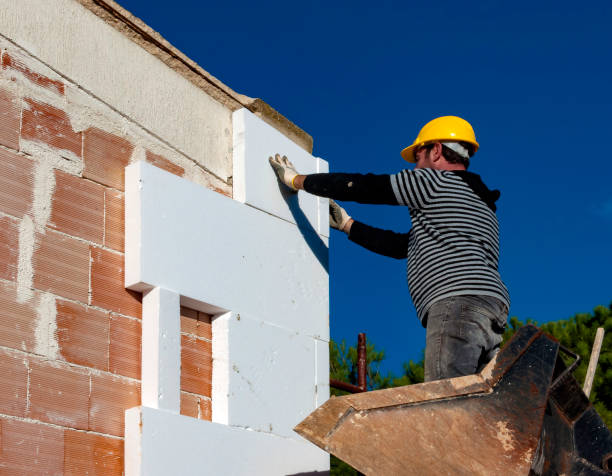 Best Geographic-Specific Insulation Services in Bessemer, MI