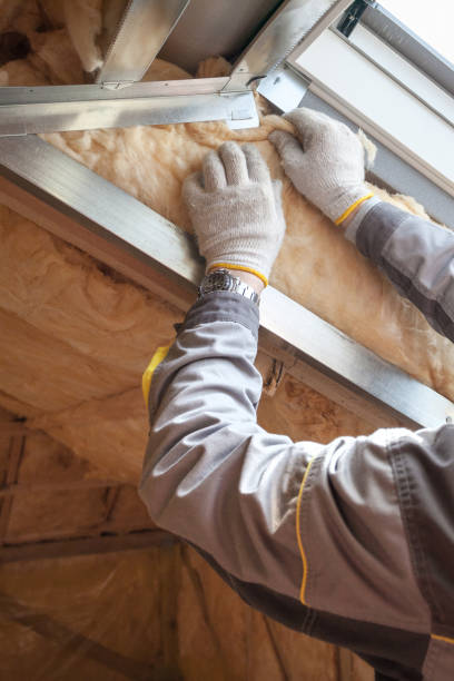 Best Specialized Insulation Services in Bessemer, MI